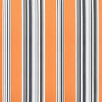 Elektrische ausziehbare Markise Mehrfarbig 450 x 300 cm