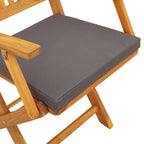 Klappstuhl mit Kissen 2 pcs Braun Massivholz Akazie