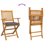 Klappstuhl mit Kissen 2 pcs Braun Massivholz Akazie