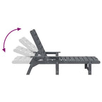 Sonnenliege Hellgrau 195,5 x 53 x 98,5 cm HDPE