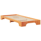 Bettrahmen Braun 100 x 220 cm Massives Kiefernholz