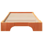Bettrahmen Braun 100 x 220 cm Massives Kiefernholz