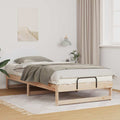 Bettrahmen Braun 100 x 200 cm Massives Kiefernholz