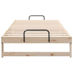 Bettrahmen Braun 100 x 210 cm Massives Kiefernholz