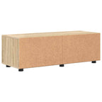 Holzschrank Sonoma-Eiche 100,5 x 39 x 30 cm Holzwerkstoff