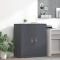 Aufbewahrungsschrank Anthrazit 80 x 40 x 90 cm Stahl