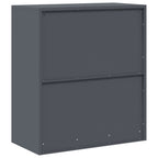 Aufbewahrungsschrank Anthrazit 80 x 40 x 90 cm Stahl