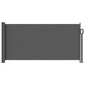 Ausziehbares Seitenmarkise Anthrazit 300 x 100 cm Polyester