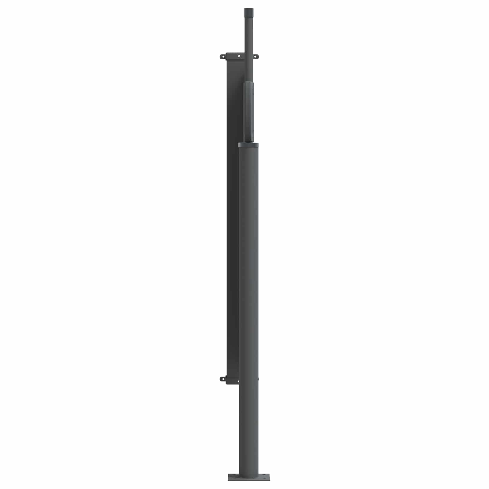 Ausziehbares Seitenmarkise Anthrazit 300 x 100 cm Polyester