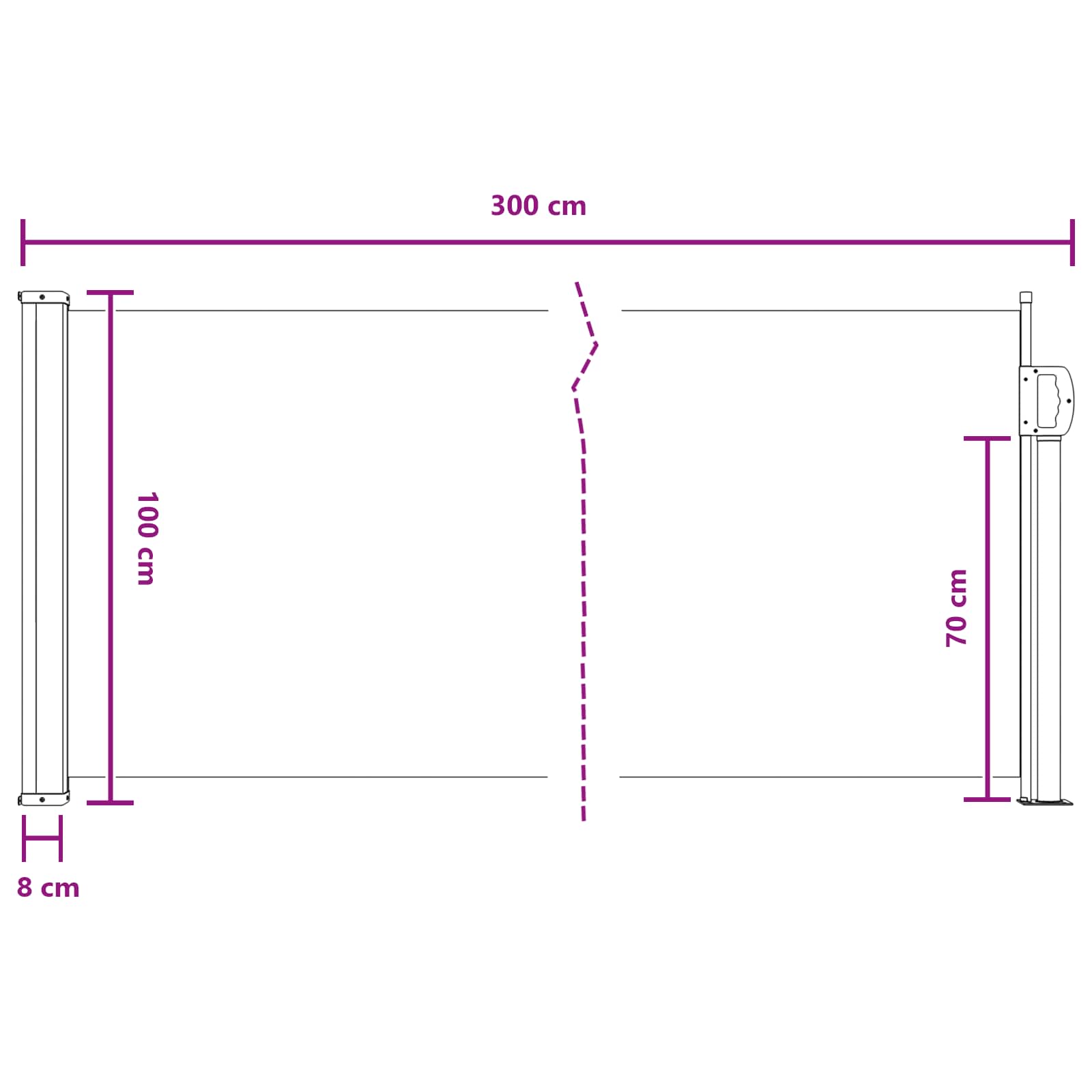 Ausziehbares Seitenmarkise 300 x 100 cm Polyester Rechtwinklig