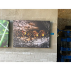 Leinwand ’hinter eines Baumes Rinde’ - Poster Drucke &